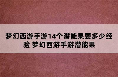 梦幻西游手游14个潜能果要多少经验 梦幻西游手游潜能果